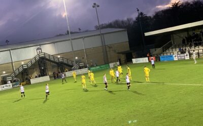 Bees Dominate Derby Day