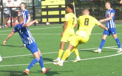Match Report – Harborough Town 2-1 Lye Town #FATrophy