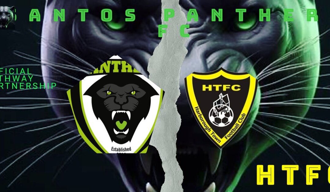Harborough Town Pathway Partnership with Santos Panthers