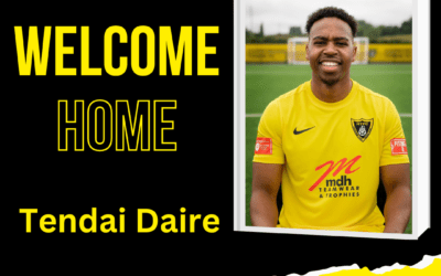 Tendai Returns To The Beehive