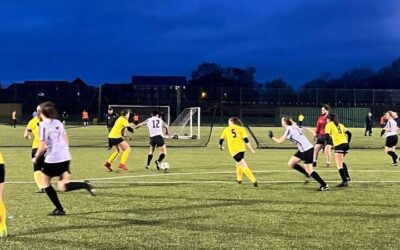 Queen Bees Match Report – Harborough Town vs Borough Alliance