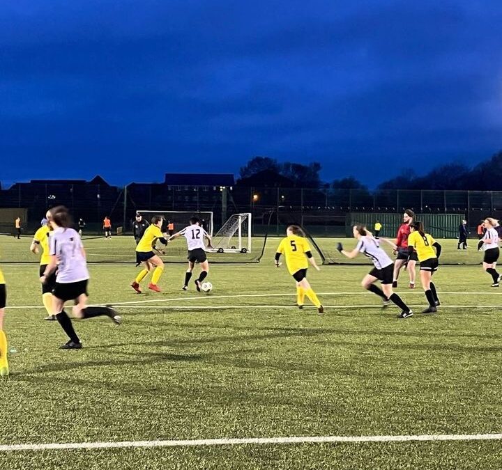 Queen Bees Match Report – Harborough Town vs Borough Alliance