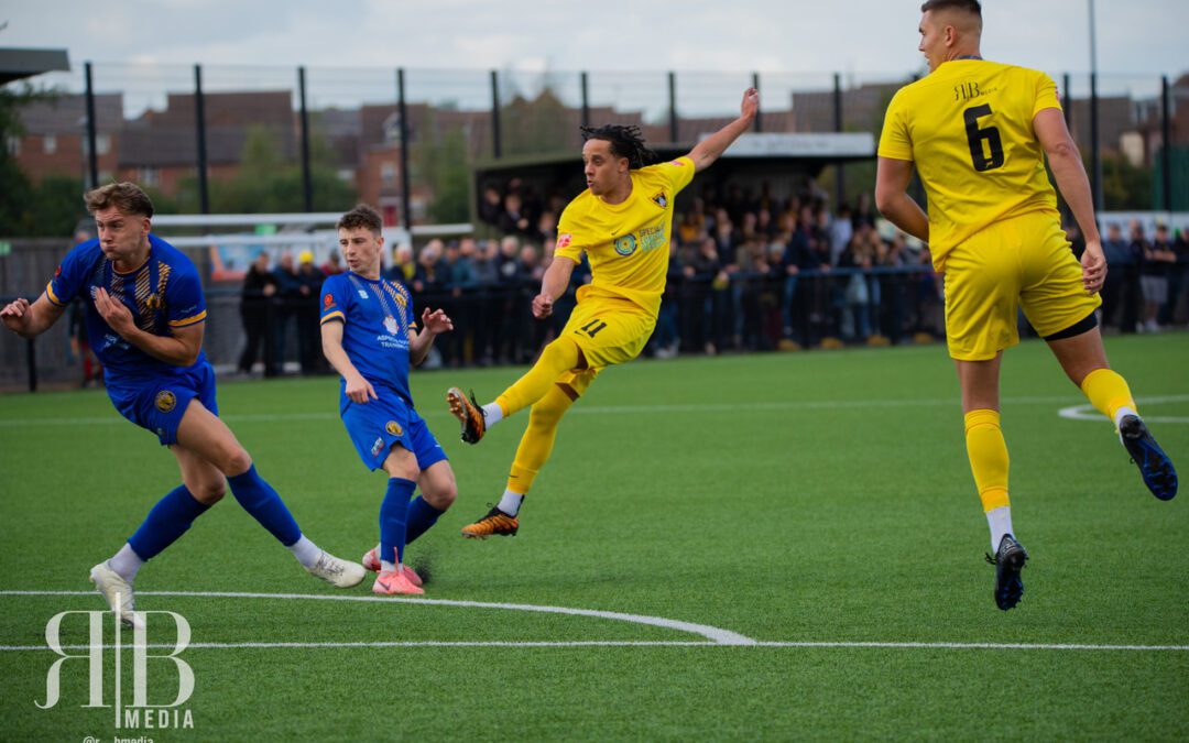 Bees Beat Brakes Breaking Records