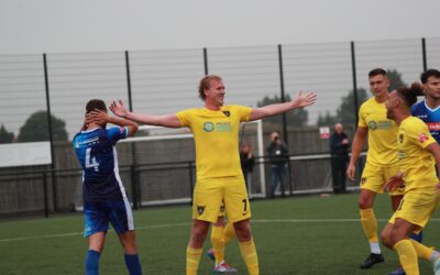 Bees Battle With Ten-Men