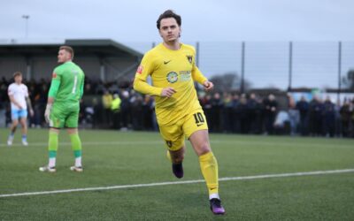Bees topple league leaders