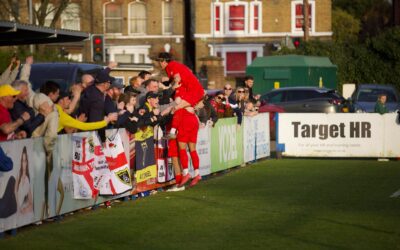 Bees Do League Double Over Tulips.