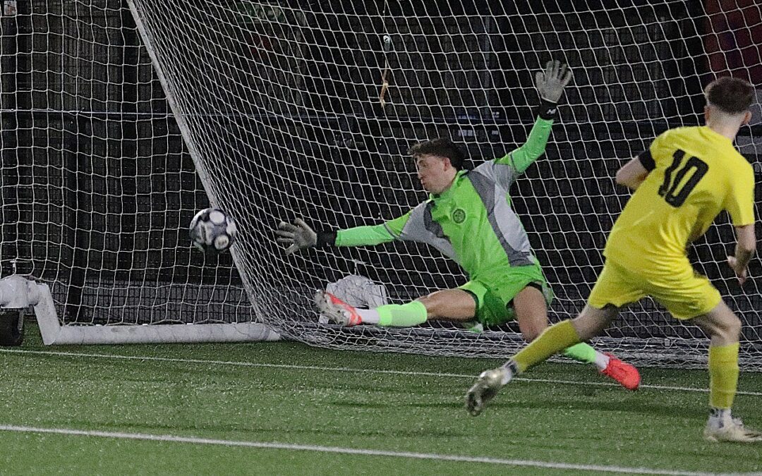 Young Bees Book Their Spot in The Finals After Confident Display