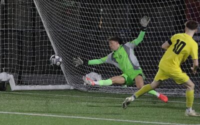 Young Bees Book Their Spot in The Finals After Confident Display