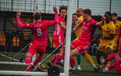 Bees Stay the Course to Overcome Leiston Test