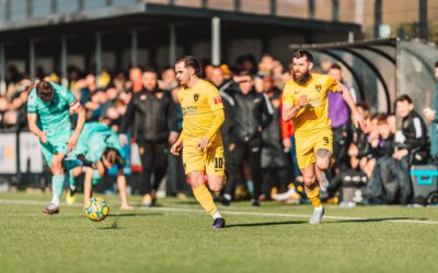 Bees and Pirates Share the Spoils in Beehive Battle