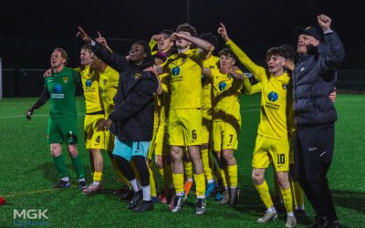 Young Bees Crowned Champions After Comeback Win