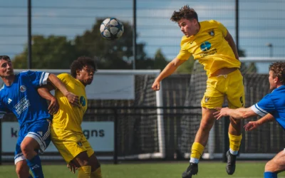Patient Young Bees Break Down Resilient Medbourne